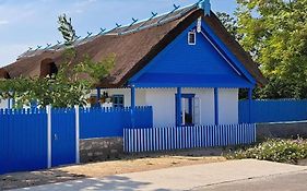 Pensiunea Casa Golovita